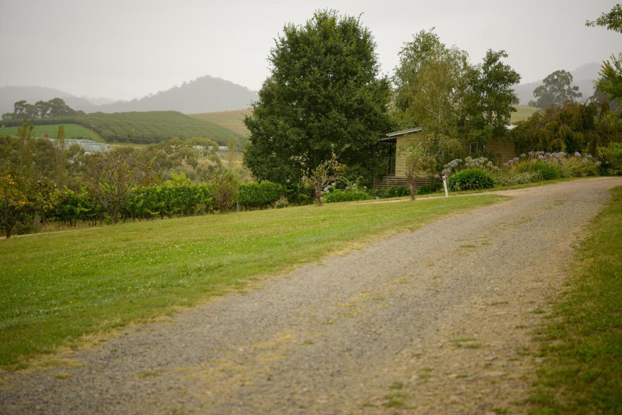 Borrodell Vineyard Hotel Ориндж Екстериор снимка