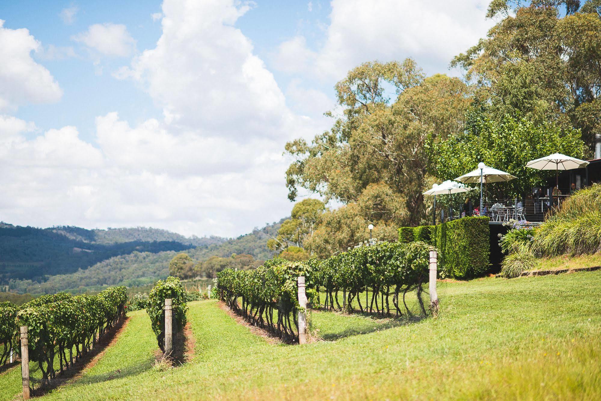 Borrodell Vineyard Hotel Ориндж Екстериор снимка