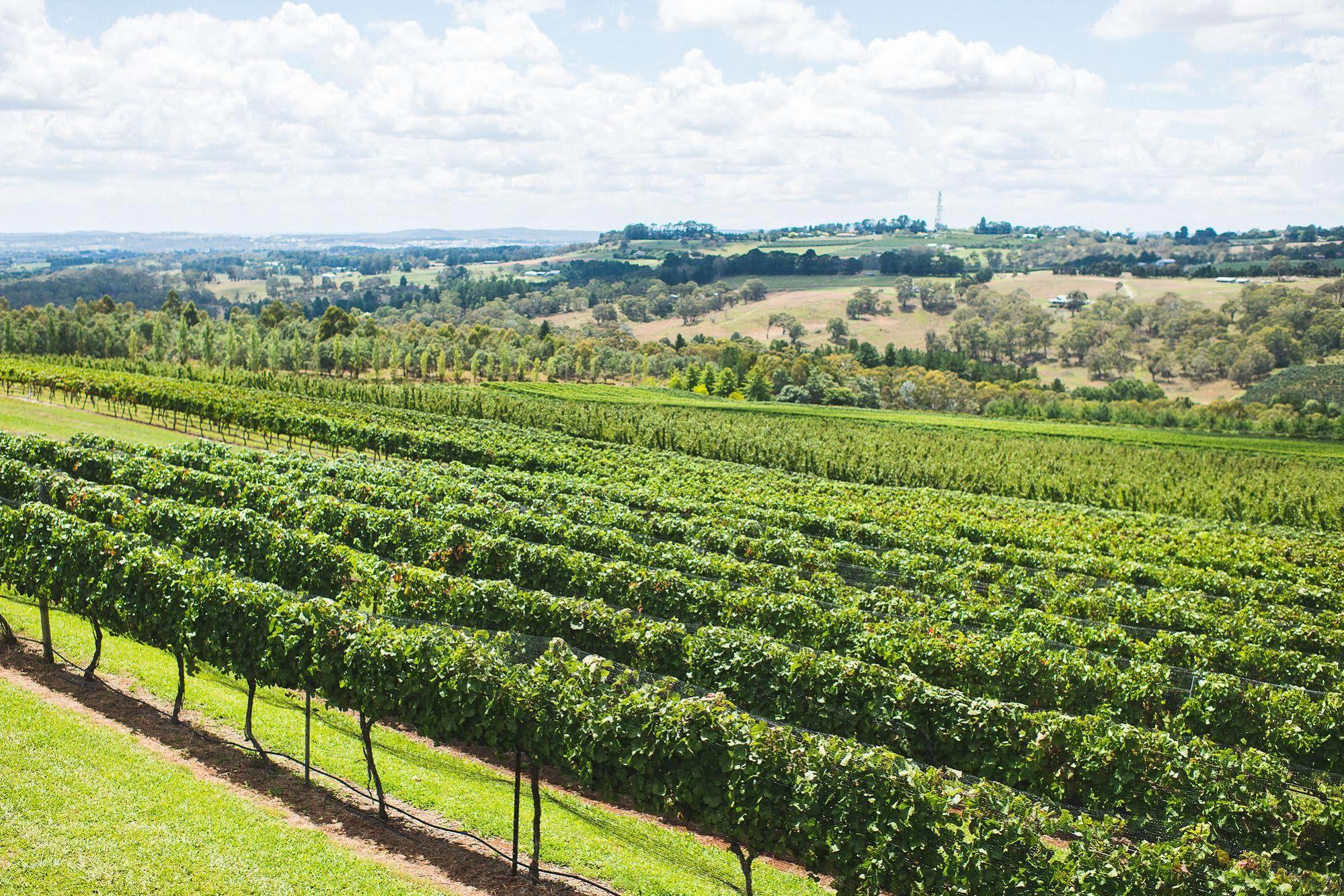 Borrodell Vineyard Hotel Ориндж Екстериор снимка